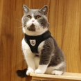thumbnail image 5 of Cat Dog Adjustable Harness Vest Type Leash Pet Reflective Chest Harness _jiue, 5 of 5