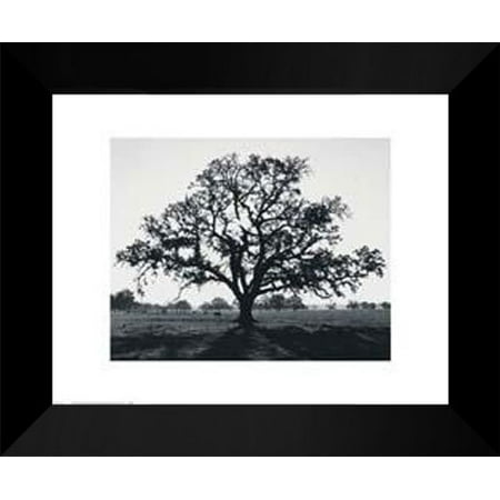 Ansel Adams Framed Art Print 15x18 Oak Tree Sunrise Ansel Adams Framed Art Print 15x18 Oak Tree Sunrise
