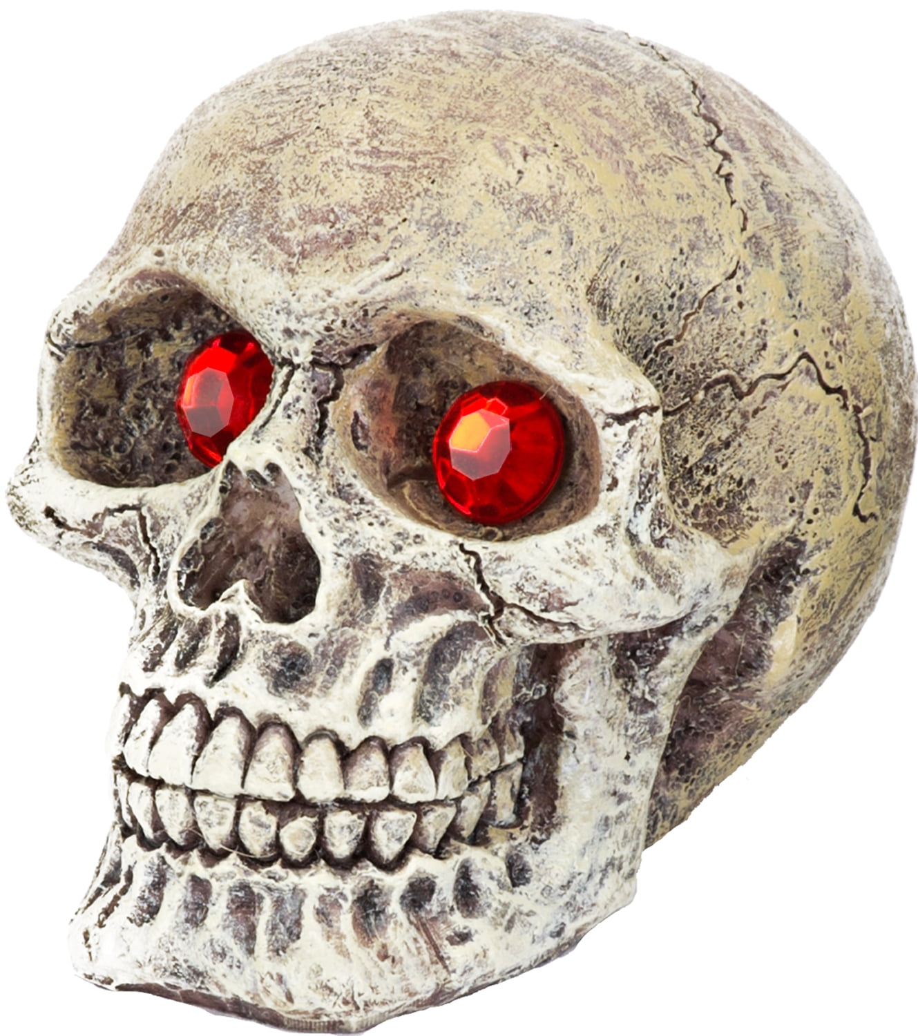 (4 pack) Penn-Plax Skull Gazers Aquarium Decor- Quality Resin for Terrarium and Fish Tanks - Mini - 1 count