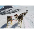 thumbnail image 2 of Bookmark Trenz Animal - Motion Postcard, 2 of 2