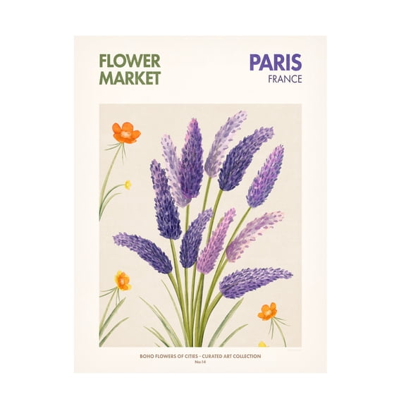 Trademark Fine Art Emel Tunaboylu  Paris Canvas Wall Art