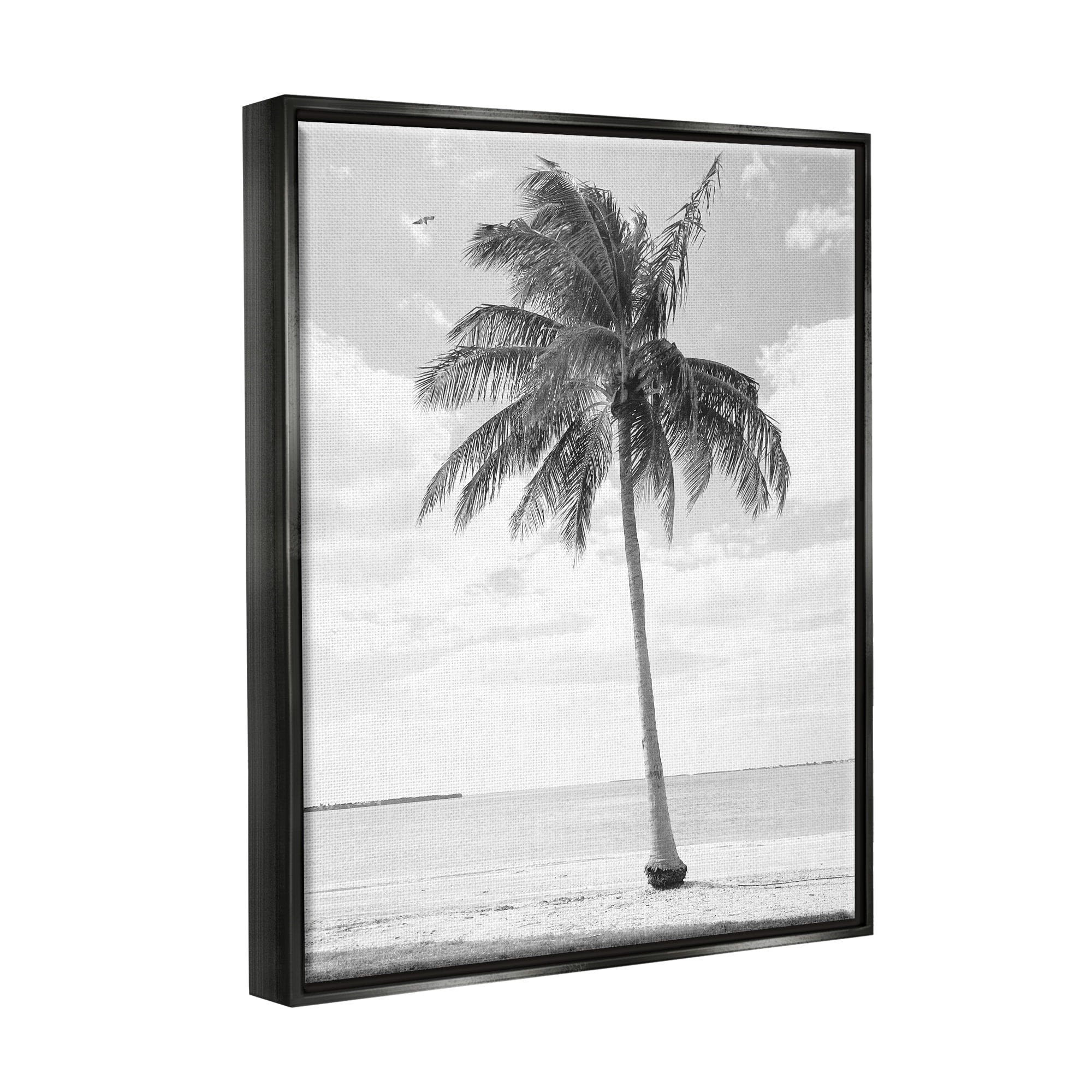 Stupell Industries Single Palm Tree Monochrome Tropical Beach Plant Photograph Jet Black Floating Framed Canvas Print Wall Art, Design by Graffitee Studios