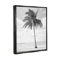 thumbnail image 3 of Stupell Industries Single Palm Tree Monochrome Tropical Beach Plant Photograph Jet Black Floating Framed Canvas Print Wall Art, Design by Graffitee Studios, 3 of 5