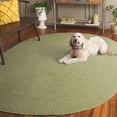 thumbnail image 5 of SAFAVIEH Braided Denica Distressed Machine Washable Reversible Area Rug, Sage, 5' x 8' Oval, 5 of 19
