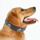 thumbnail image 2 of KAKOWELY collar de cuero negro con diseño de calavera para Halloween, ajustable, para mascotas, suministros para perros y cachorros., 2 of 4