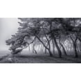 thumbnail image 3 of Tiger Seo 24x15 Black Modern Wood Framed Wall Art Titled - Always, 3 of 5