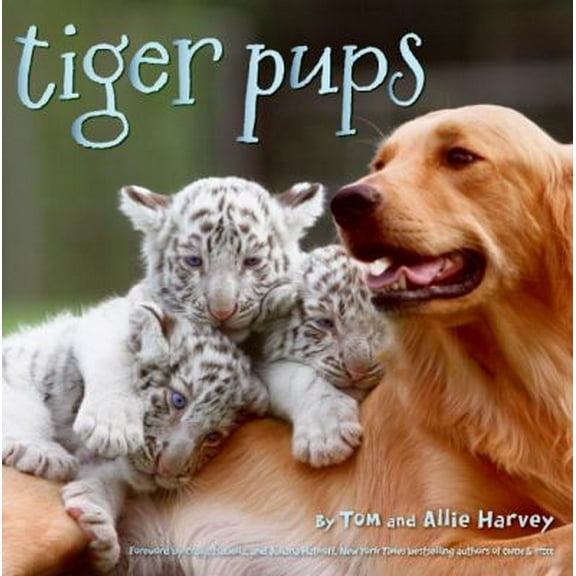 Pre-Owned Tiger Pups (Hardcover) 0061773093 9780061773099