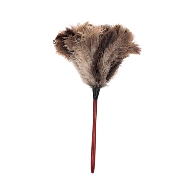 DOLITY Brosse à Outils de Nettoyage à la Poussière pour Ménage Automobile