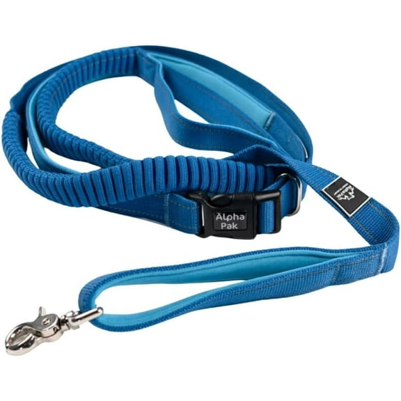 Alpha Pak | Cascades Stretchable Runner Dog Leash | Hands-Free | Reflective | Durable | 6-10 ft. Stretched | Metallic Blue