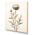 thumbnail image 2 of Designart "Serene Beige Thistle I" Thistle Canvas Art Print, 2 of 7