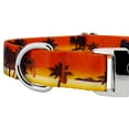 thumbnail image 5 of Country Brook Petz® Premium Caribbean Sunset Dog Collar, Large, 5 of 5