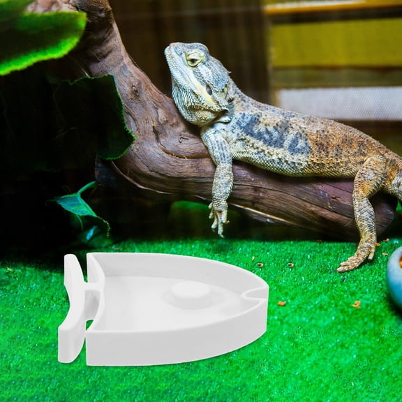 unbranded Para Comida Y De Reptiles Con Para Terrarios Y Jaulas