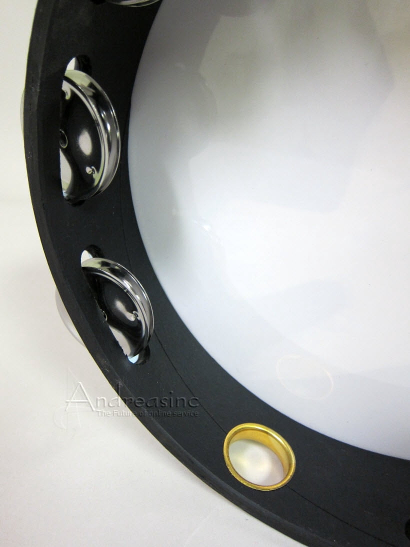Remo Dove Tambourine 8 in. 8 Jingle