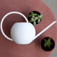 thumbnail image 3 of Arrosoir 2 Pcs 1L Intérieur et Extérieur pour Bonsaïs Herbes, 3 of 10