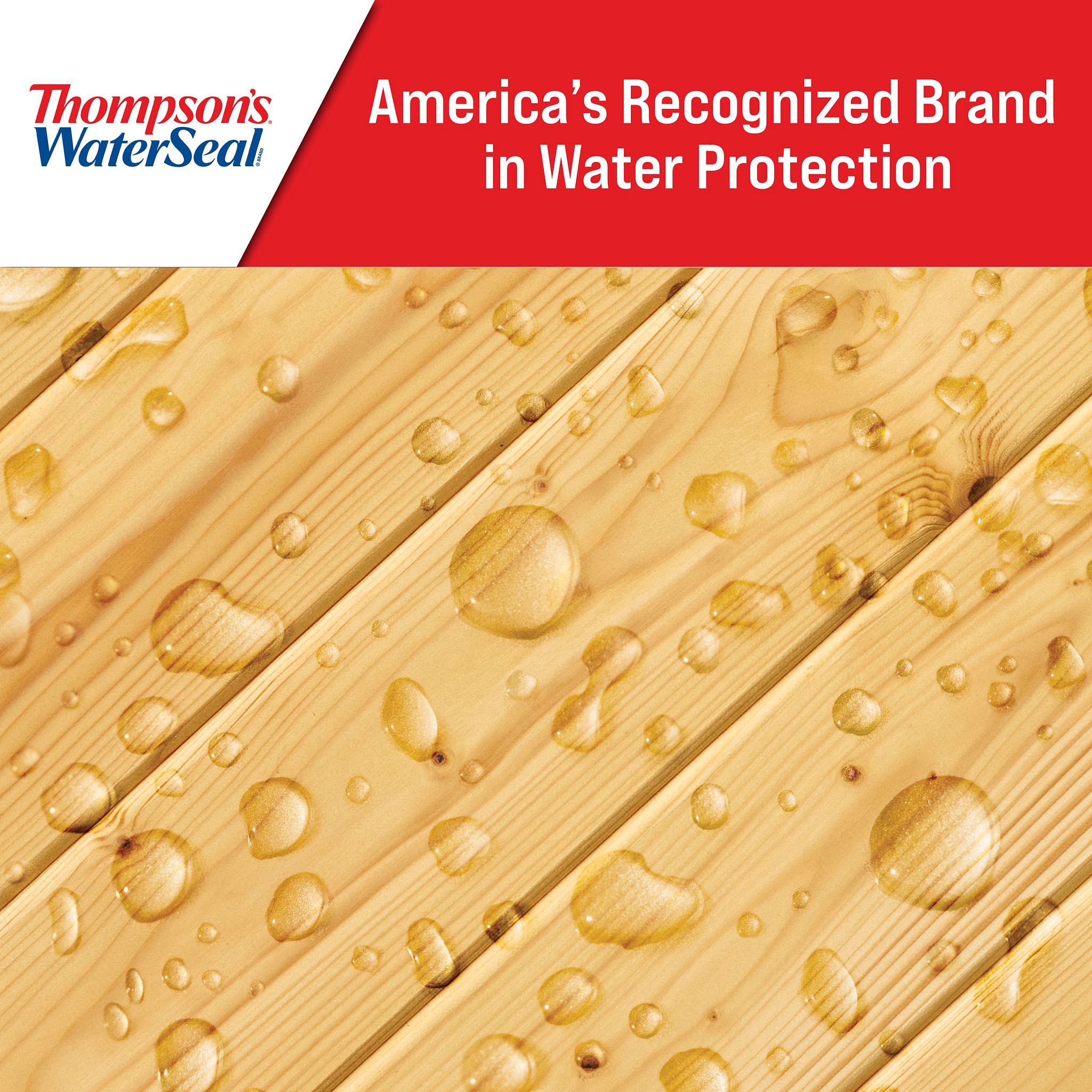 Thompson's WaterSeal Clear Multi-Surface Waterproofer, 5 Gallon