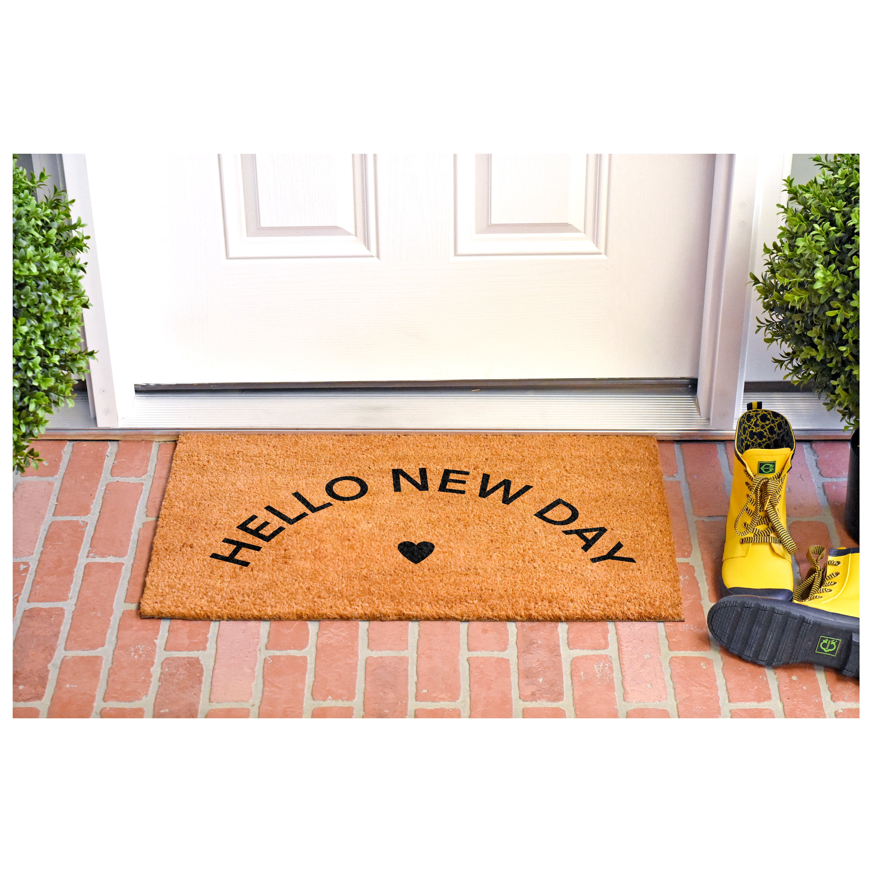 Calloway Mills 112101729 Hello New Day Black Doormat 17" x 29"