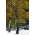 thumbnail image 2 of Vitaly Geyman 23x32 White Modern Wood Framed Wall Art Titled - Last of Color I, 2 of 5