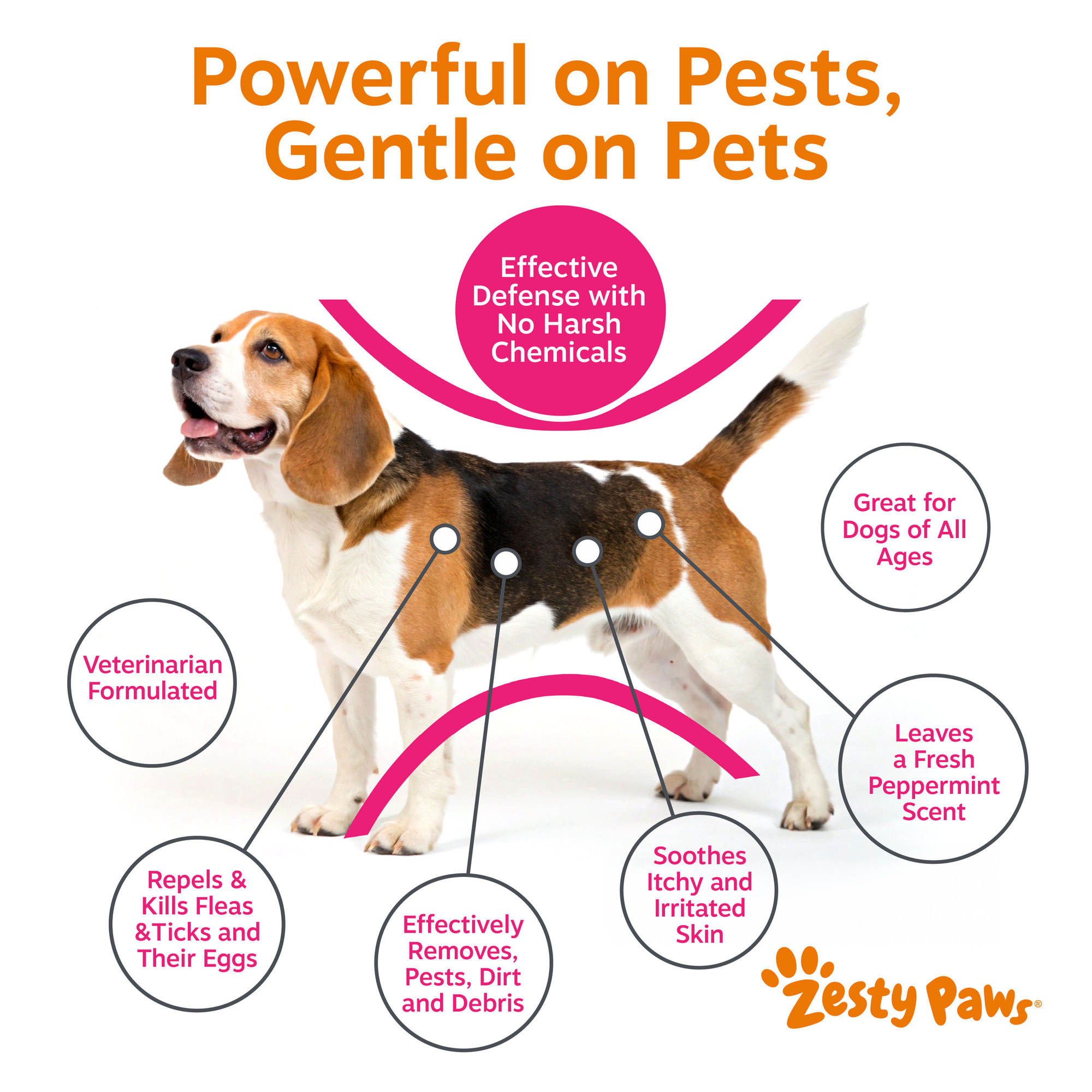 Zesty Paws Flea and Tick Shampoo for Dogs, 16 oz photo 4
