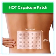 Salonpas Pain Relieving Hot Capsicum Patch