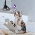 thumbnail image 5 of Juguete interactivo para gatos, Hada divertida, palo para gatos y bola con cinta, juego deportivo para gatos y juguete para gatos de interior, 5 of 5