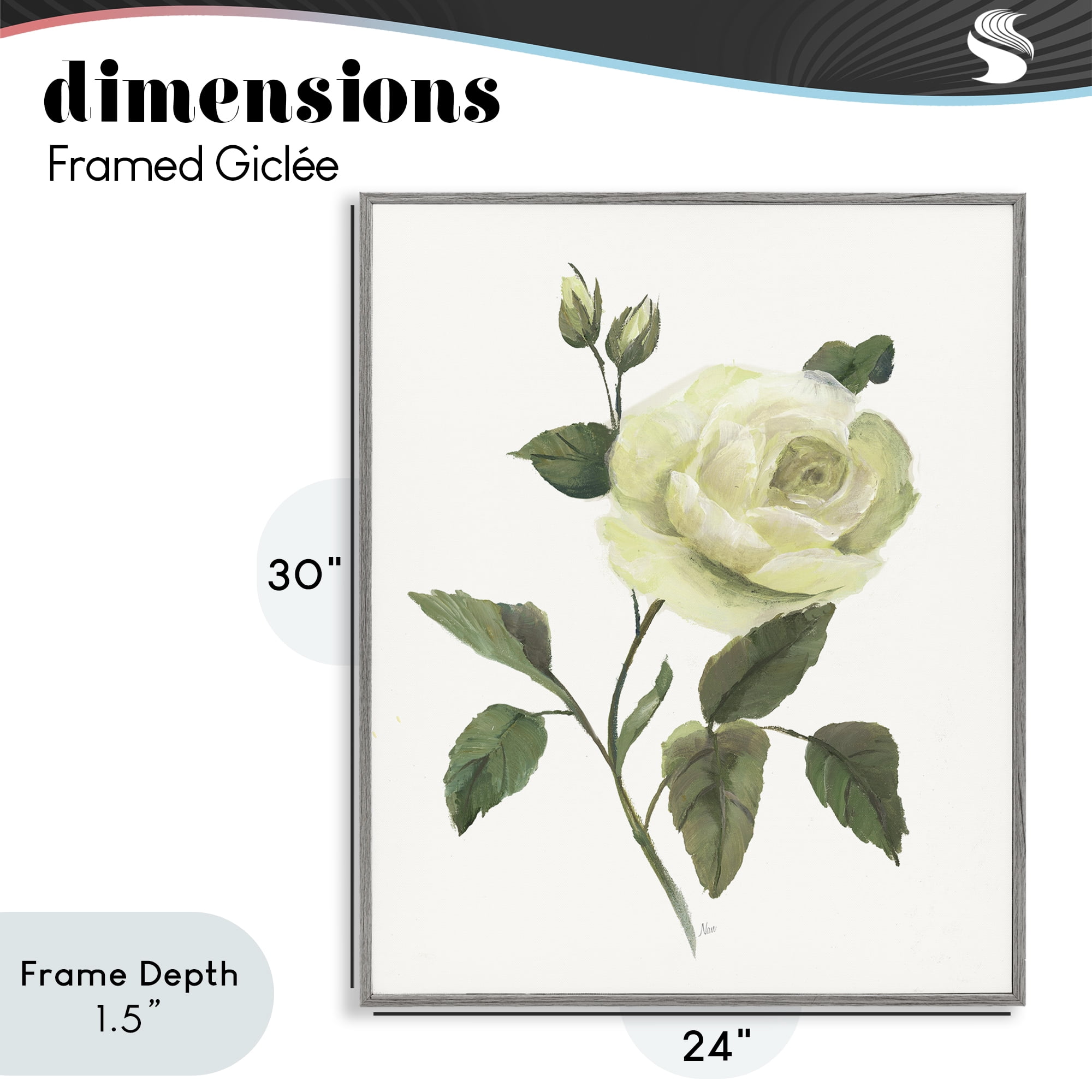 Stupell Industries Cream Garden Rose with Buds Gray Framed Giclee Art, design by Nan