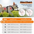 thumbnail image 7 of Jewyow No Pull Dog Harness, Adjustable Dog Vest with Soft Padding, Heavy Duty Dog Harness for Small, Medium, Large Dogs(Black,XS), 7 of 7
