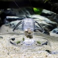 thumbnail image 3 of Trayknick Transparent Plastic Snail Trap Luring Catcher Aquarium Fish Tank Plant Protector, 3 of 10