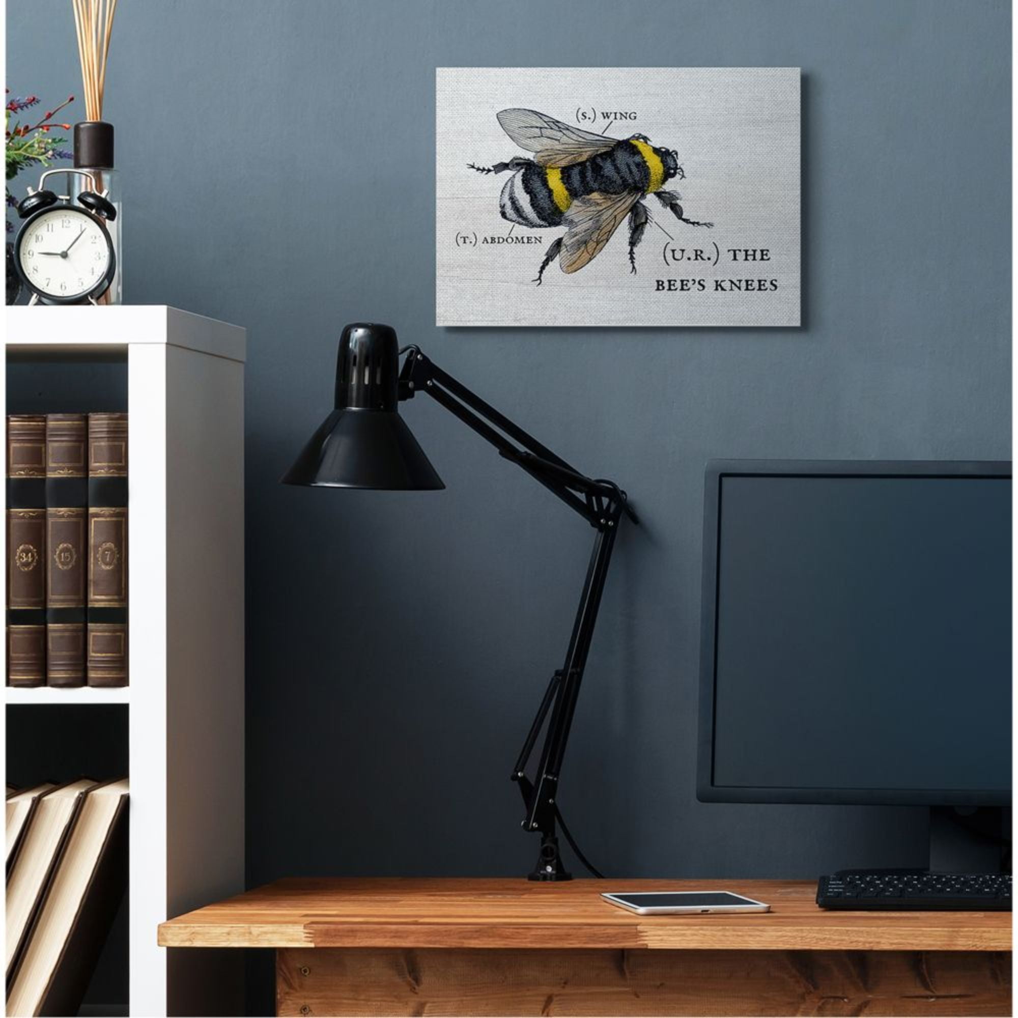 Stupell Industries Anatomy of Honey Bee Pun Charming Bee's Knees Design by Daphne Polselli, 16" x 20"