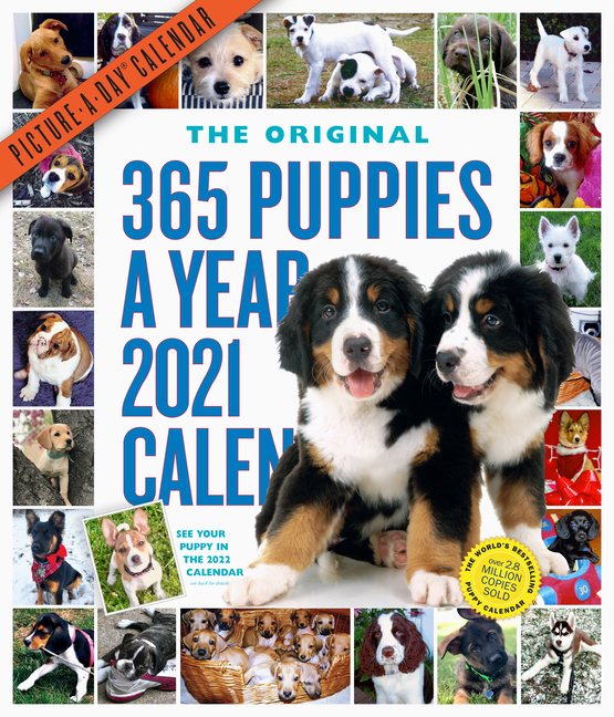 365 PuppiesAYear PictureADay Wall Calendar 2021