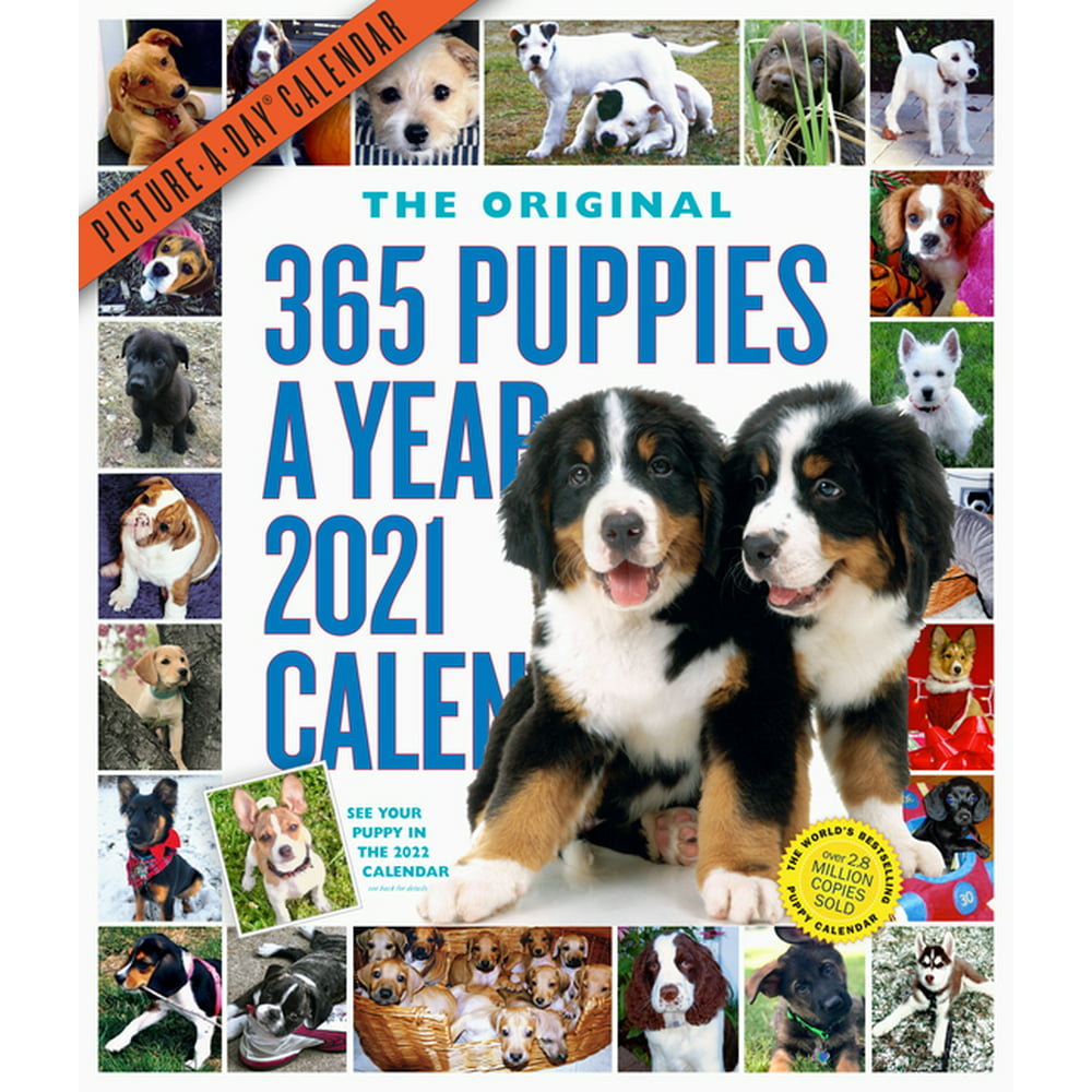 365-puppies-a-year-picture-a-day-wall-calendar-2021-walmart-walmart