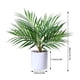 thumbnail image 4 of Advancent Plantas de palma falsas respetuosas del medio ambiente elegantes de bajo mantenimiento de la palmera tropical de cerámica plástica Decoración, 4 of 6