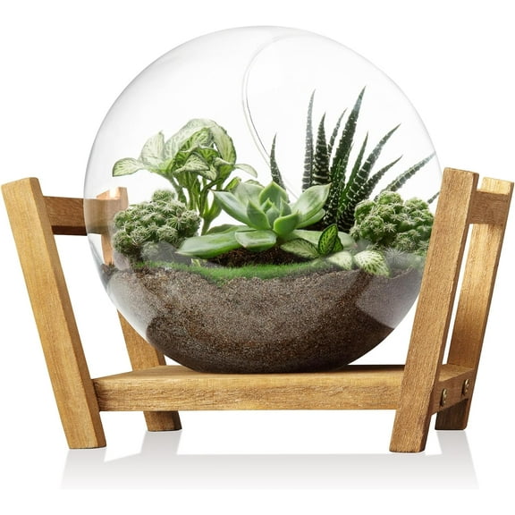 Monoture Glass Plant Terrarium with Wooden Stand as Decoration for Succulent,Desktop Plant Propagation Stations Air Plant Propagation Vase for Plants,Retro Globe Propagate Station for Plant Lover
