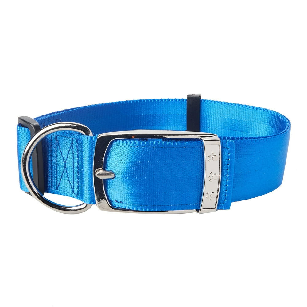 Vibrant Life Solid Nylon Dog Collar with Metal Clasp, Blue, Large