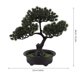 thumbnail image 5 of unbranded Planta De Bonsái Falsa De Simulación Ideal Para Interior En Tonos Oscuros, 5 of 6