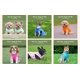 thumbnail image 4 of Jersey para perros, chaleco polar JACKO & CO, naranja, para pequeños y medianos, 4 of 8