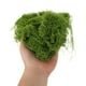 thumbnail image 5 of OULII 1Pqt Musgo Artificial Decorativo Verde Para Arreglos De Jardinería Y Centros De, 5 of 6