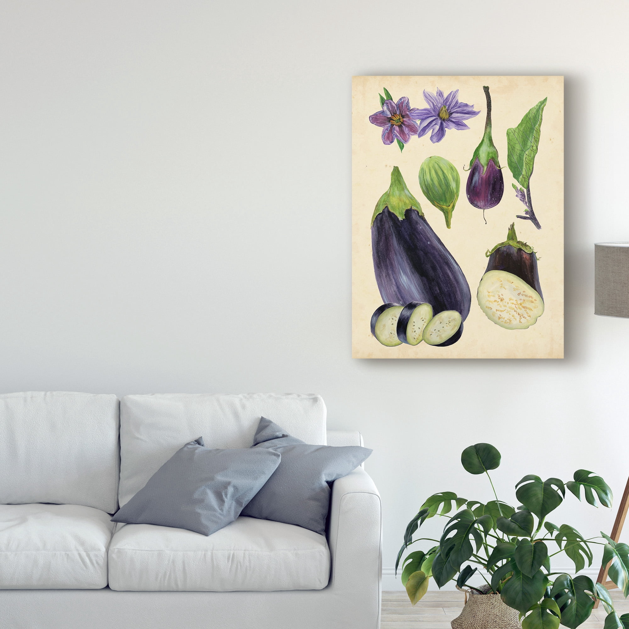 Trademark Fine Art 'Aubergine Study I' Canvas Art by Melissa Wang