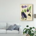 thumbnail image 3 of Trademark Fine Art 'Aubergine Study I' Canvas Art by Melissa Wang, 3 of 4