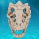 thumbnail image 4 of Adorno de calavera para pecera, decoración para pecera de acuario Adorno de calavera para acuario Decoración para pecera Fiel a su promesa, 4 of 12