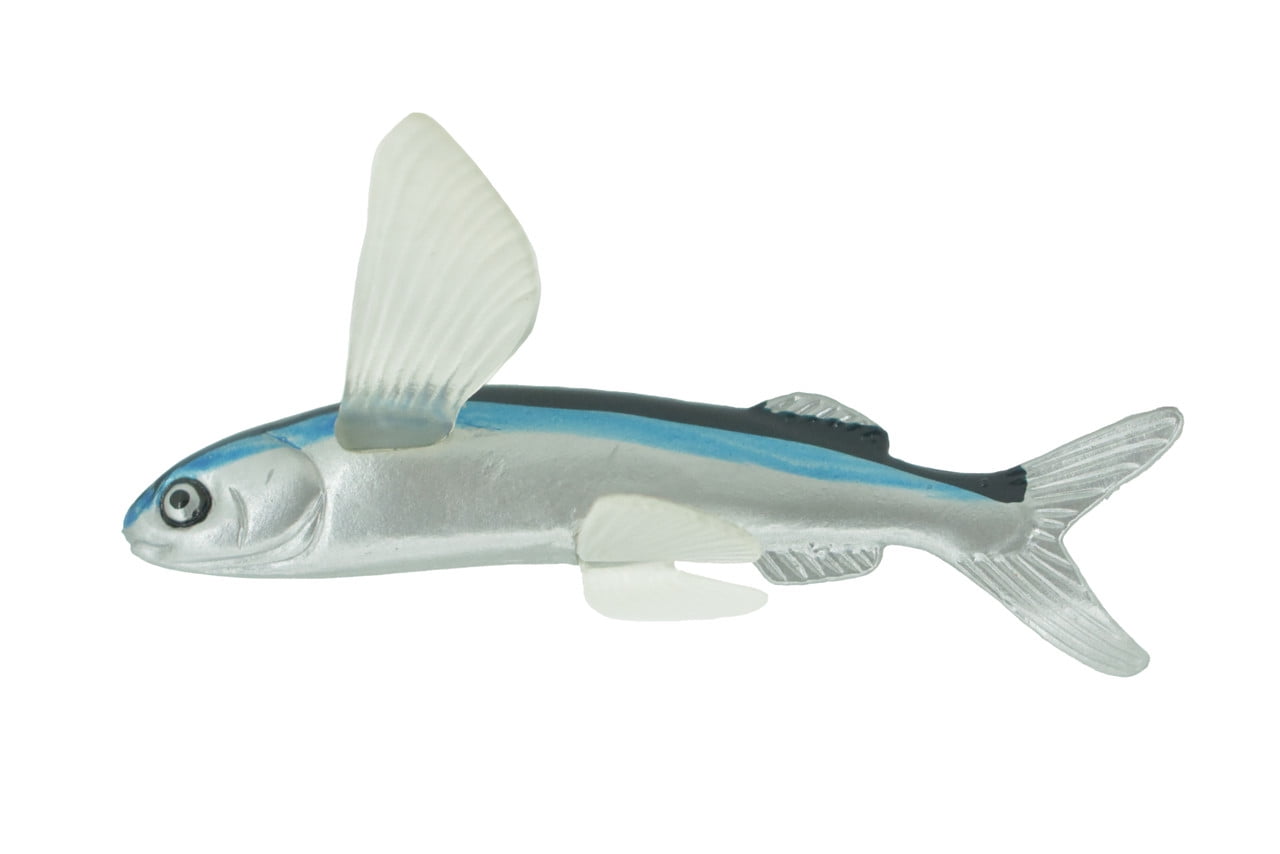 Fish, Bowfin Fish, Barred Bichir, Museum Quality, Hand Painted, Rubber Fish, Realistic Toy Figure, Model, Replica, Kids, Educational, Gift, 7 Fish, Bowfin Fish, Barred Bichir, Museum Quality, Hand Painted, Rubber Fish, Realistic Toy Figure, Model, Replica, Kids, Educational, Gift, 7