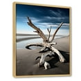thumbnail image 2 of Designart "Driftwood on the Beach I" Nautical & Beach Floater Framed Wall Art Living Room, 2 of 7