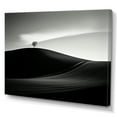 thumbnail image 2 of Designart "Monochrome Meadow In Black And White Photography" Meadow Wall Art Prints, 2 of 7