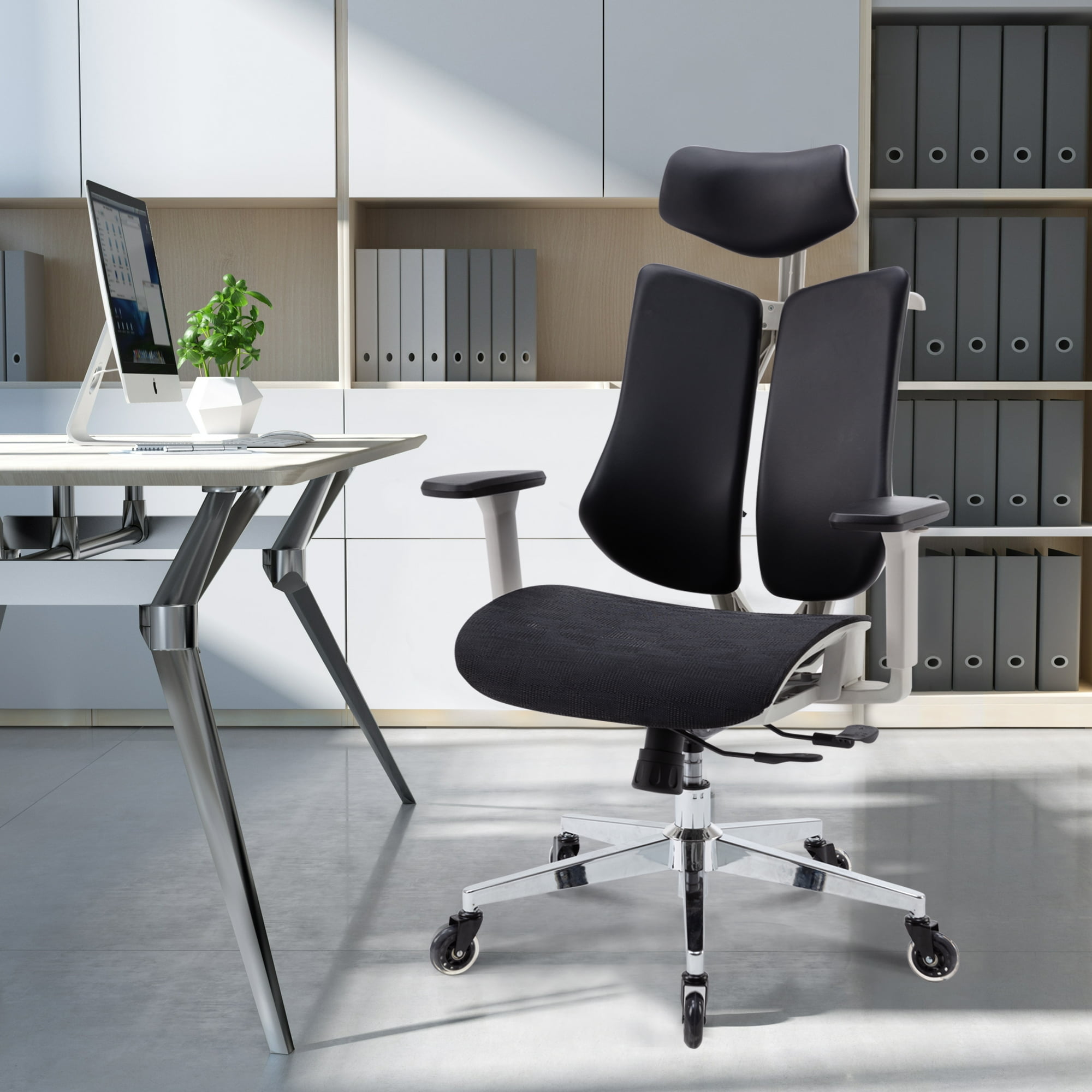 Ergonomic Office Chair Dual Backrests, Lumbar Support Office Desk Chair