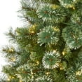 thumbnail image 5 of Nearly Natural 6' Green Snow Tip Artificial Christmas Tree Prelit Clear 300 LED Lights, 5 of 8