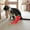 B, variant on Byujiro Corn Shaped Catnip Plush Cat Toy, Fruit Style Soft Stuffed Kitten Molar Pillow, Bite Resistant Interactive Chew Toy with Natural Catnip Filling, Vegetable Outline Design for Indoor Cats