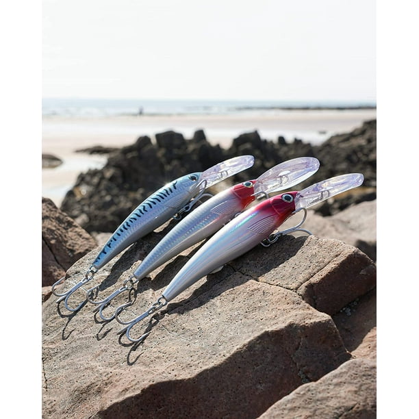 BLUEWING Deep Diving Lures Deep Dive Trolling Lure 3D Diving Minnow Jerkbait  Lure with Hook Saltwater Fishing Lures 230mm/9.05in SBM 