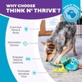 thumbnail image 6 of Outward Hound Nina Ottosson Silly Legz Interactive Plush Dog Puzzle, Dog Enrichment Toys, Plush, Floppy, Long, Octopus, Blue, 6 of 7