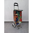 thumbnail image 4 of CARRO DE MANDADO LAITING CARRITO DE SUPERMERCADO, 4 of 4
