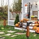 thumbnail image 5 of Advancent 2 unids/set decoración de Halloween patas de decoración de fiesta para diversión para la decoración del hogar de brujas de Kits de decoración para fiestas naranja, 5 of 6