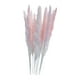 thumbnail image 5 of Ramo de hierba de pampa seca natural, ramo de flores secas de larga duración para estilo bohemio. Rosa, 5 of 9